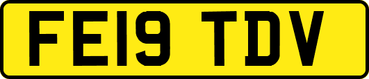 FE19TDV