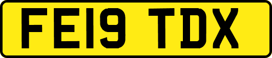 FE19TDX
