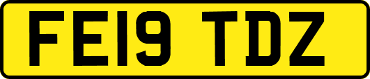 FE19TDZ