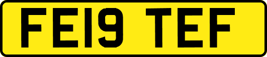 FE19TEF