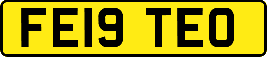 FE19TEO