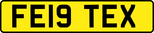 FE19TEX