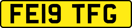 FE19TFG