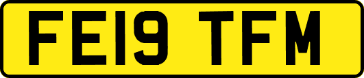 FE19TFM