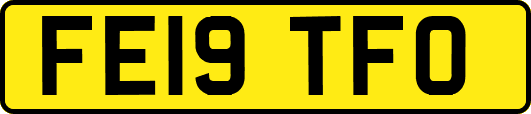 FE19TFO