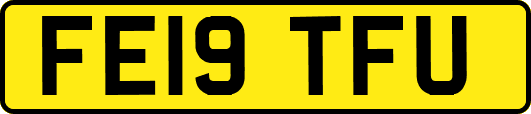 FE19TFU