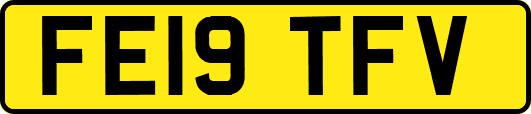 FE19TFV