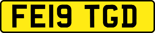 FE19TGD