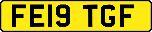 FE19TGF