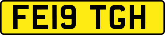FE19TGH