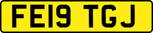 FE19TGJ