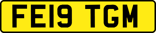 FE19TGM
