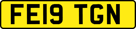 FE19TGN