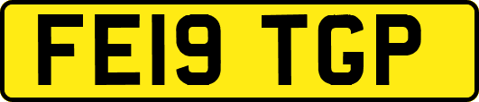 FE19TGP
