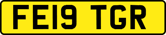 FE19TGR