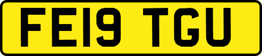 FE19TGU