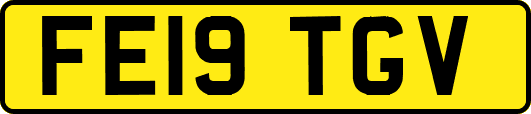 FE19TGV