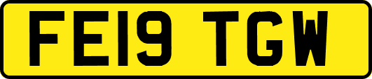 FE19TGW