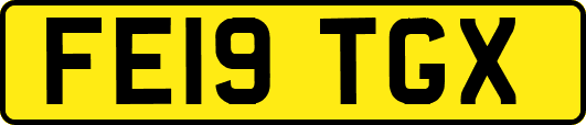 FE19TGX