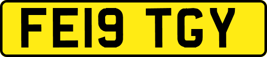 FE19TGY