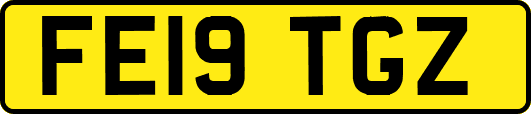 FE19TGZ