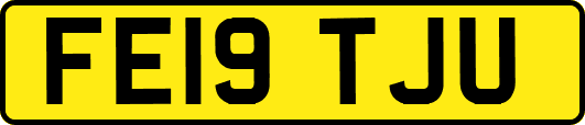 FE19TJU