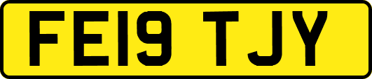 FE19TJY