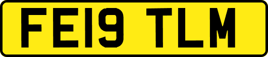 FE19TLM