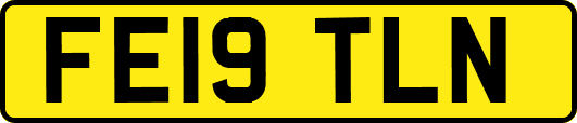 FE19TLN