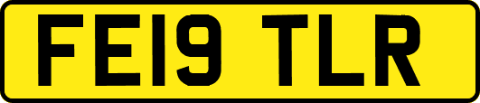 FE19TLR