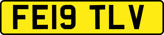 FE19TLV