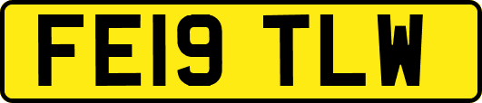 FE19TLW