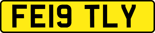 FE19TLY
