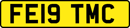 FE19TMC
