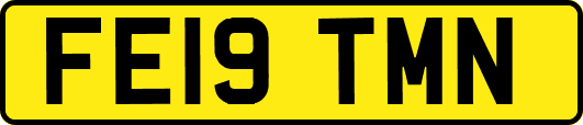 FE19TMN