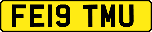 FE19TMU
