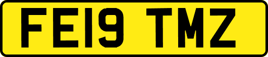 FE19TMZ