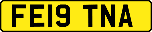 FE19TNA