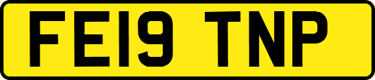 FE19TNP