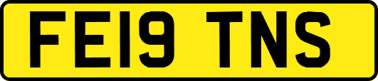 FE19TNS