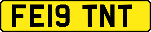 FE19TNT