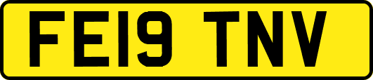 FE19TNV