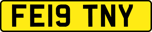 FE19TNY