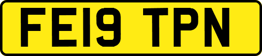 FE19TPN