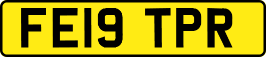 FE19TPR