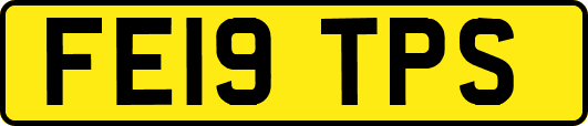 FE19TPS