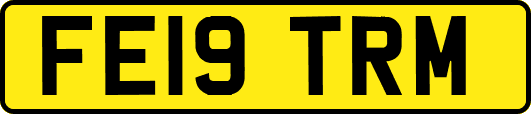 FE19TRM