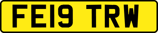 FE19TRW