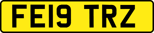 FE19TRZ