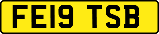 FE19TSB